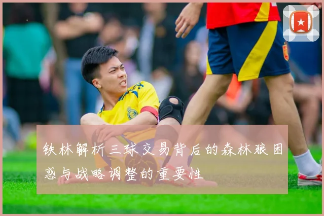 铁林解析三球交易背后的森林狼困惑与战略调整的重要性
